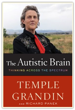 The Autisic Brain